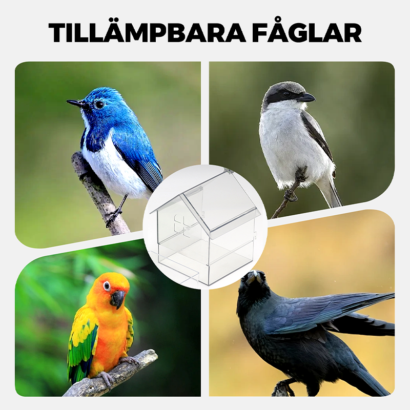 FeatherGuard™ — Endlich Futter ohne Chaos und Verschwendung, sauber und stressfrei!