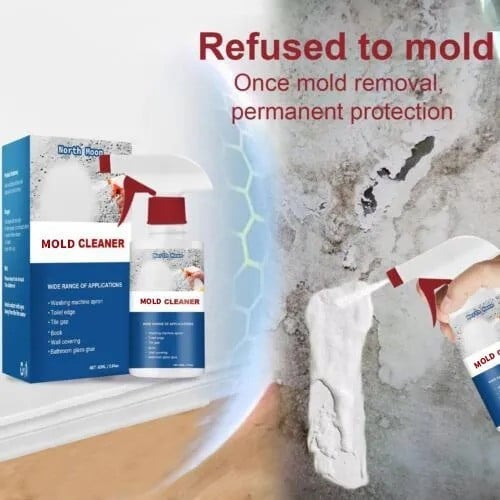 SchimmelStop™ – Endlich frei von gefährlichem Schimmel