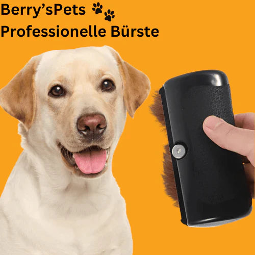 Gothimmes ProBrush – Tierhaare im Handumdrehen entfernen