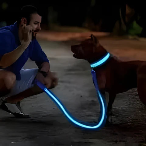GlowPaw – Leuchtendes LED-Hundehalsband für sichere Abendspaziergänge