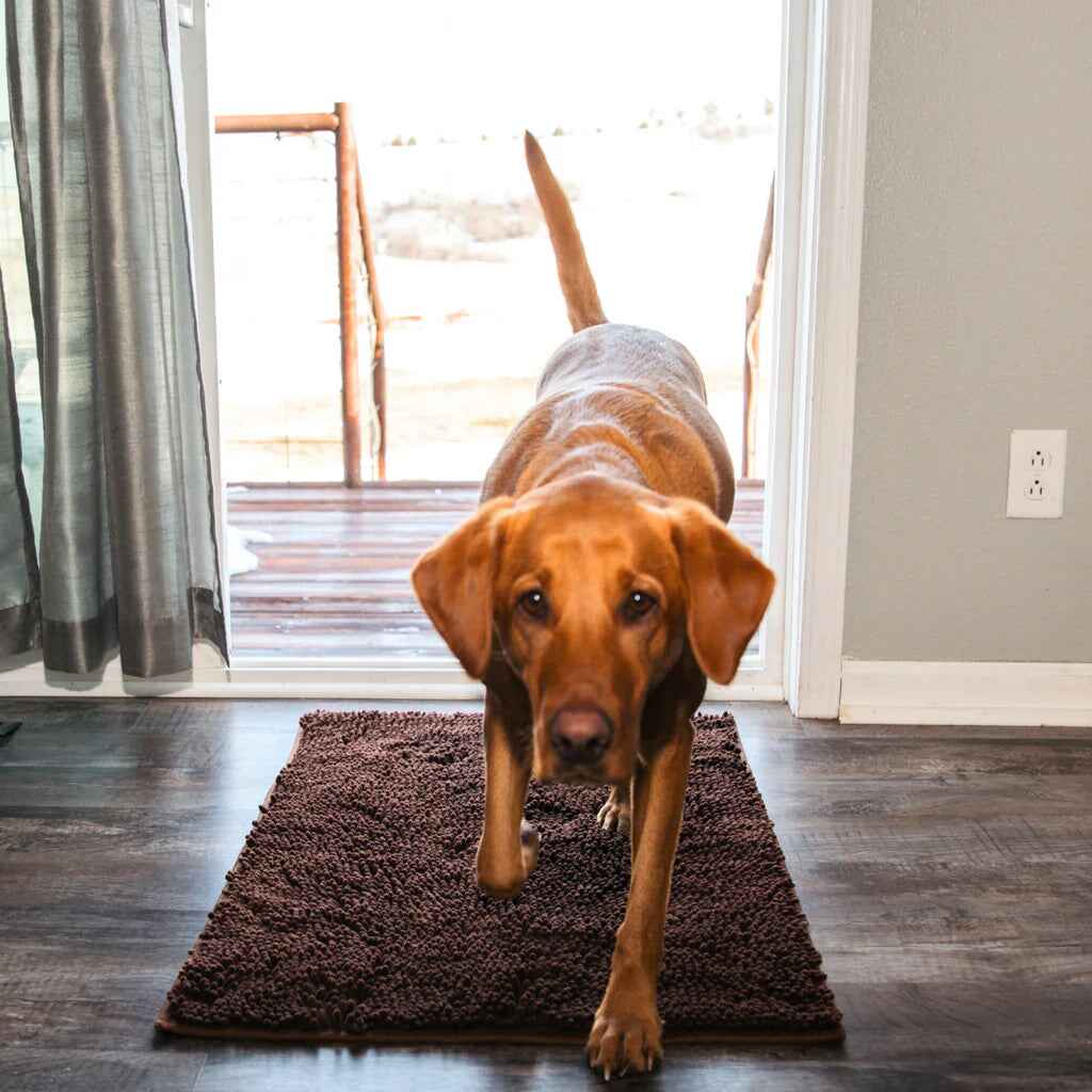 1+1 GRATIS | PawGuard Mat – Schluss mit schmutzigen Hundepfoten im Haus