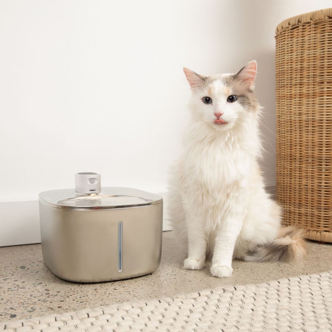 TrinkMiez – Der Brunnen, den deine Katze wirklich nutzt