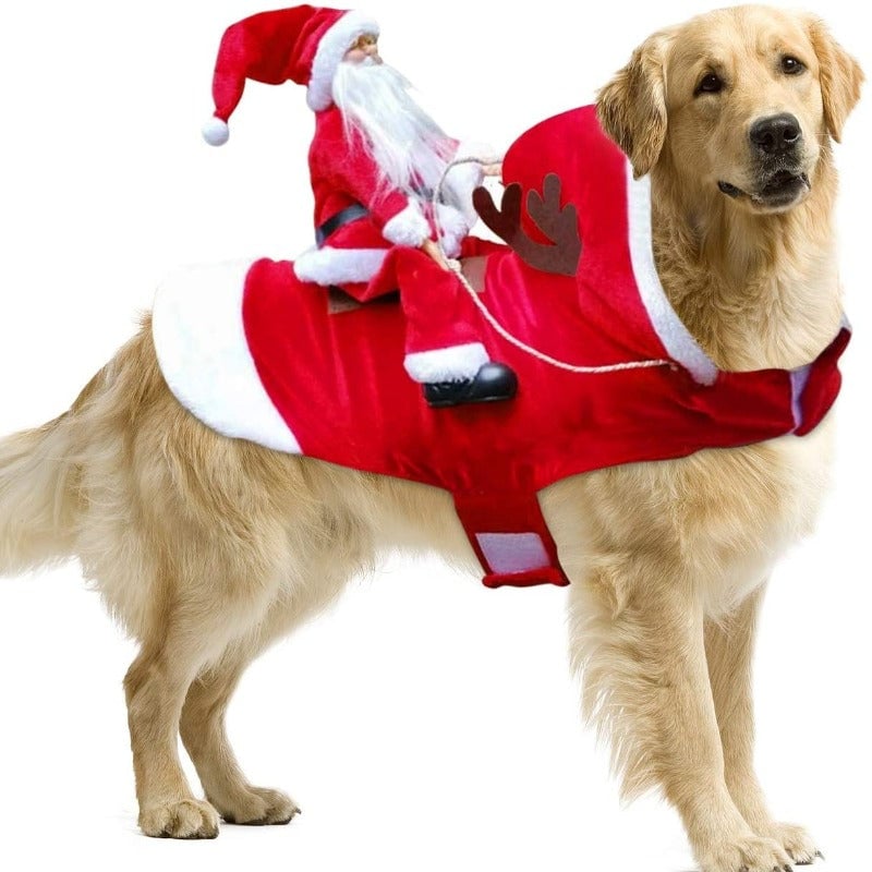 FellFreude – Weihnachtskostüm für Hunde mit Santa-Überraschung