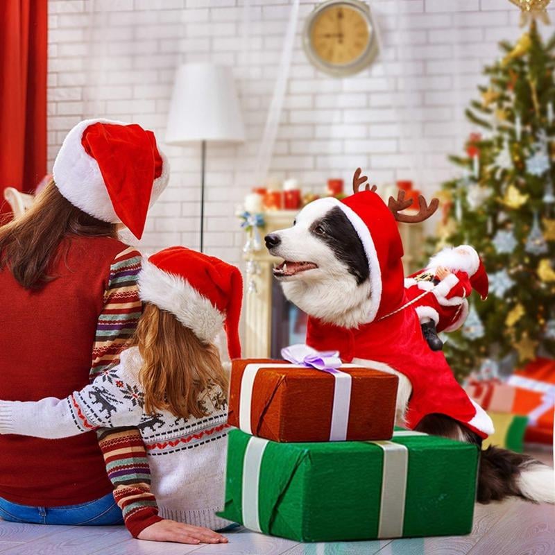 FellFreude – Weihnachtskostüm für Hunde mit Santa-Überraschung