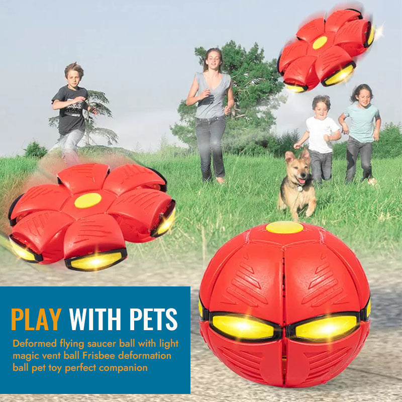 FunMorph Ball – Spiel, Spaß & Action für deinen Vierbeiner