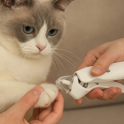 ClawEase – Sanfter 2-in-1 Krallenschneider & Schleifer für Haustiere