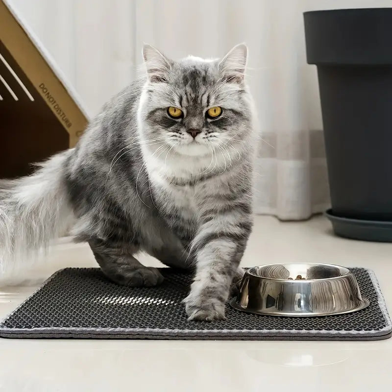 KittyGuard – Schluss mit verstreutem Katzenstreu