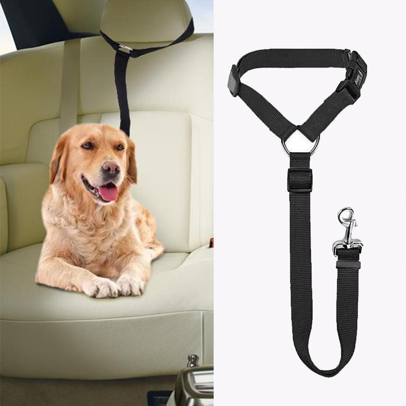 SafeRide™ – Sicheres Reisen für Hunde & Katzen