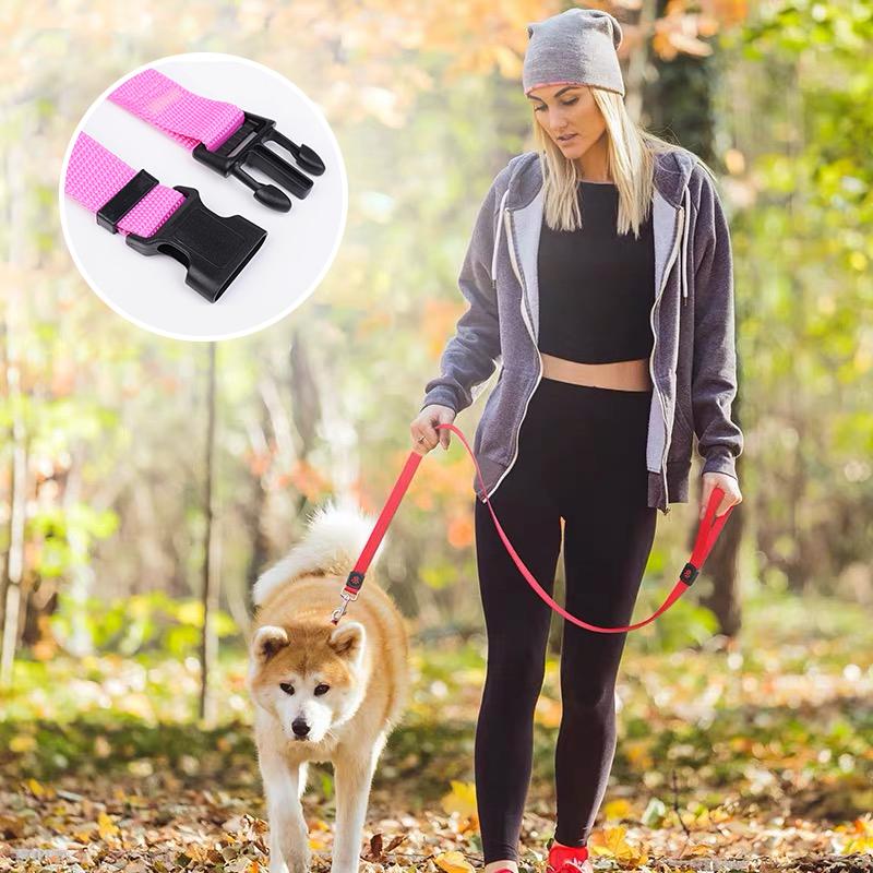 SafeRide™ – Sicheres Reisen für Hunde & Katzen