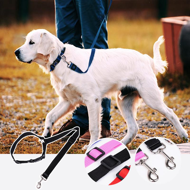 SafeRide™ – Sicheres Reisen für Hunde & Katzen