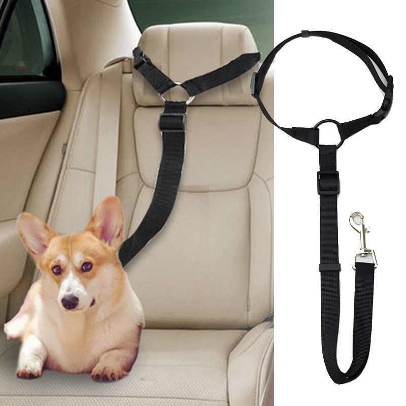 SafeRide™ – Sicheres Reisen für Hunde & Katzen