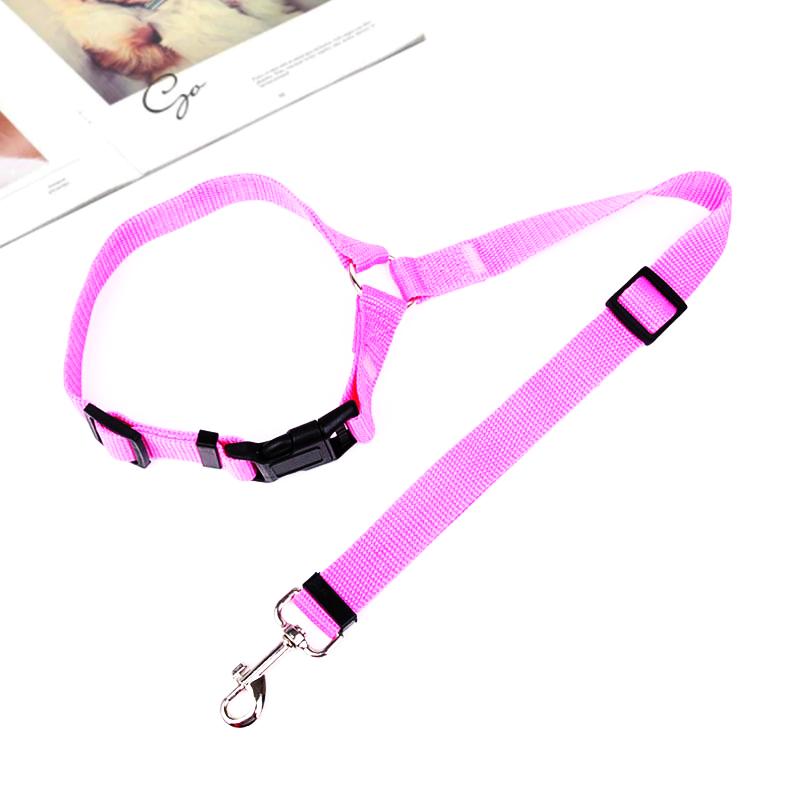 SafeRide™ – Sicheres Reisen für Hunde & Katzen