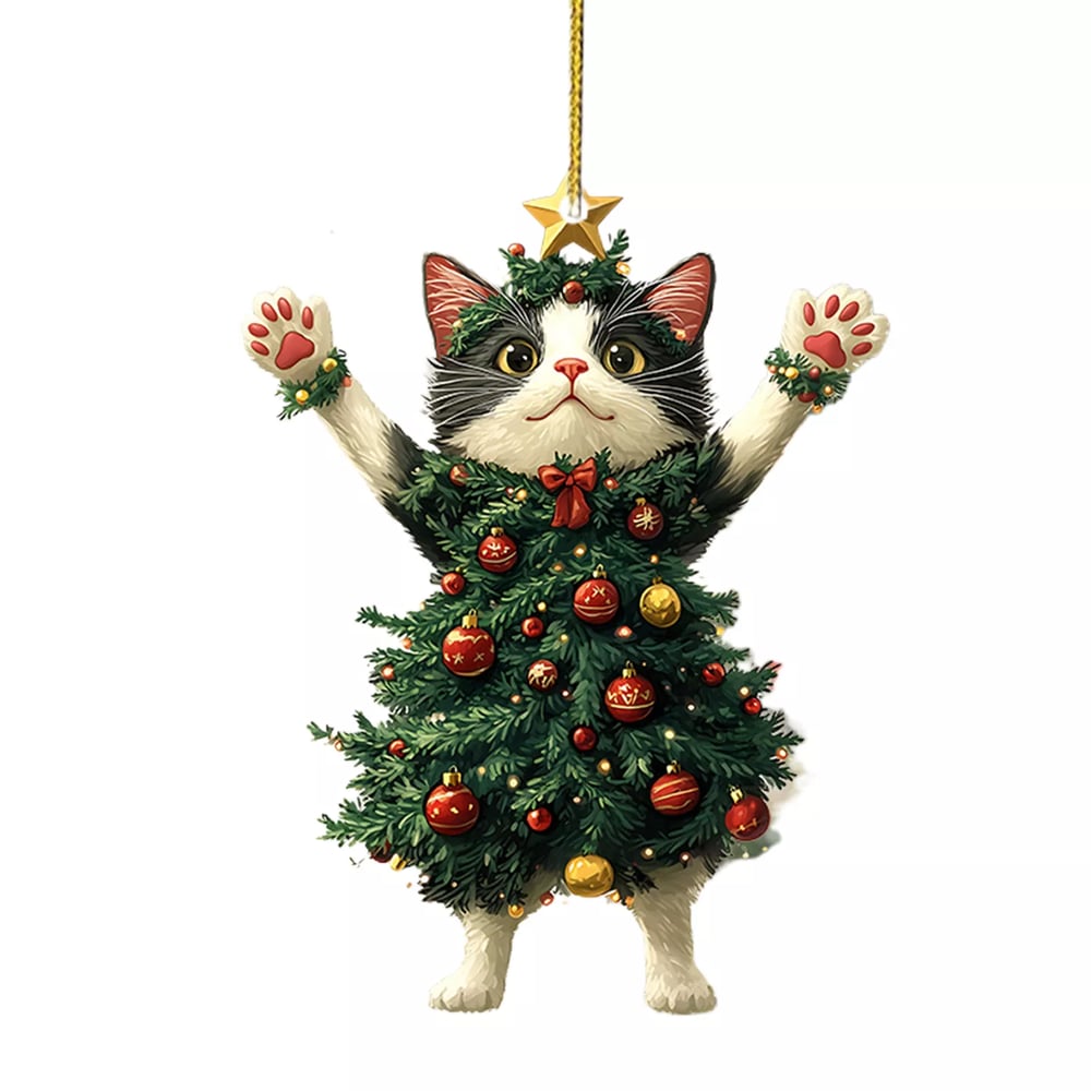 MiauMagic – Die Katze als Weihnachtszauber