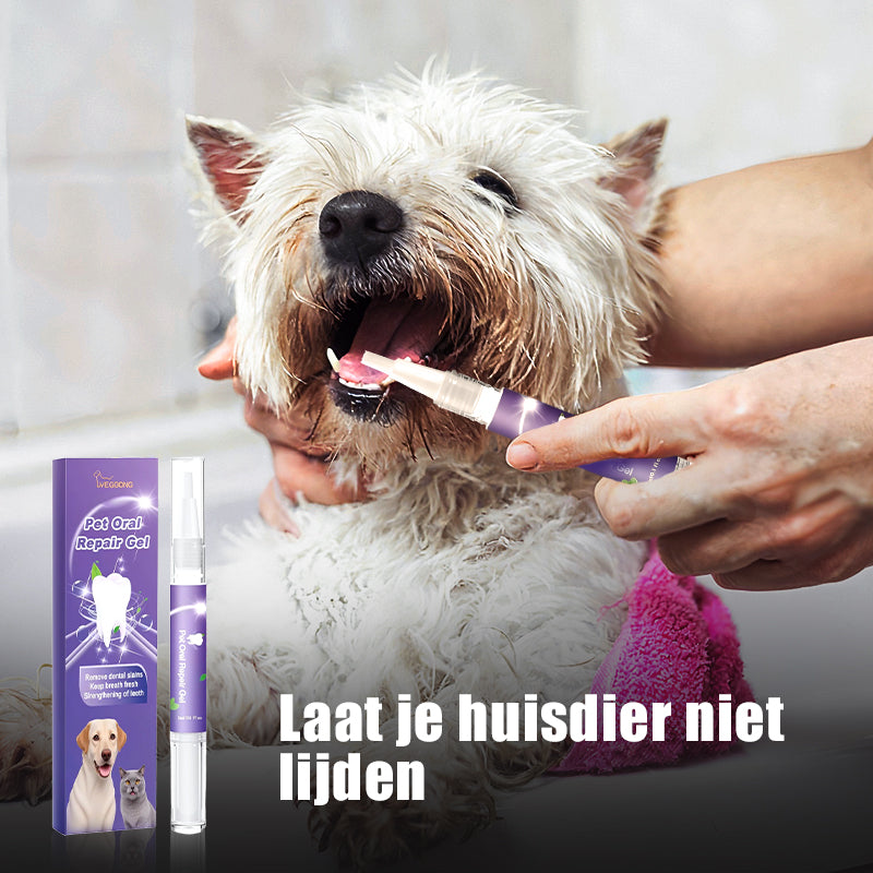 1+1 GRATIS | PetDentix – Schnelle Hilfe für schmerzfreie, gesunde Tierzähne