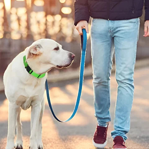 GlowPaw – Leuchtendes LED-Hundehalsband für sichere Abendspaziergänge