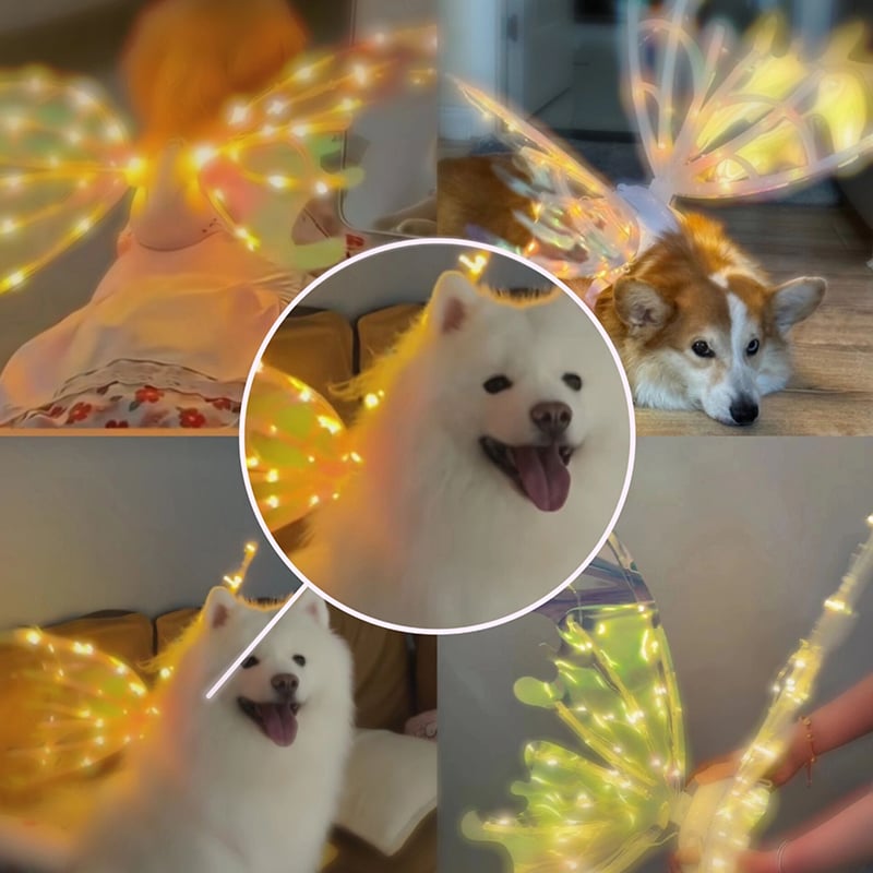 FairyGlow™ – Leuchtende Elfenflügel, die Kinderträume wahr machen