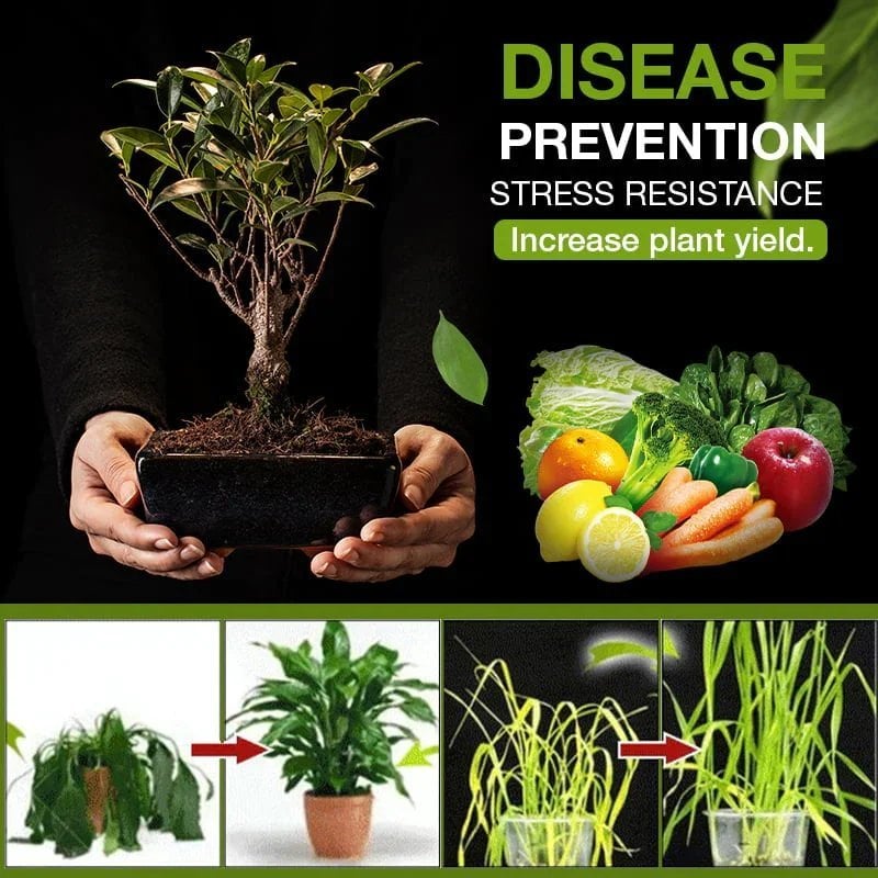 GreenVital Erde – Gesunde Pflanzen wie nie zuvor