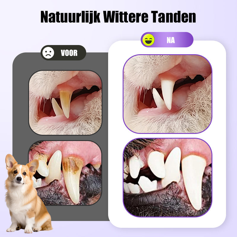 1+1 GRATIS | PetDentix – Schnelle Hilfe für schmerzfreie, gesunde Tierzähne