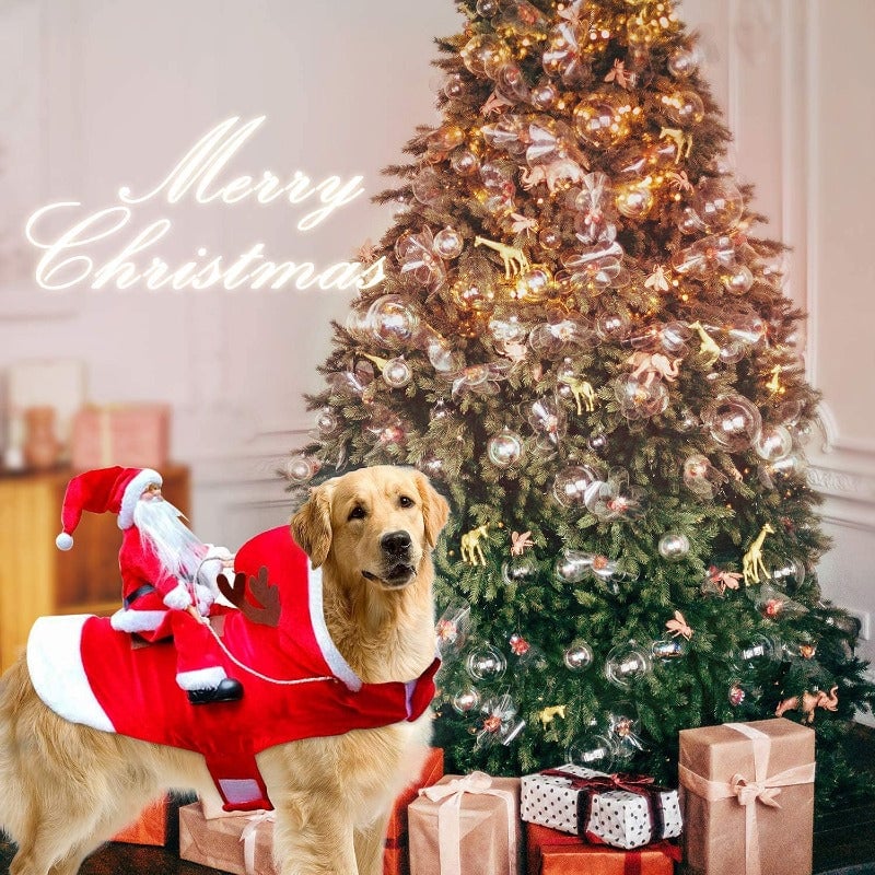 FellFreude – Weihnachtskostüm für Hunde mit Santa-Überraschung