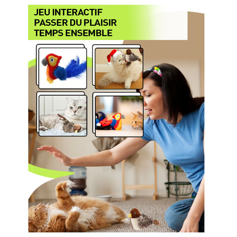 BirdiePlay – Der Jagdspaß für glückliche Stubentiger