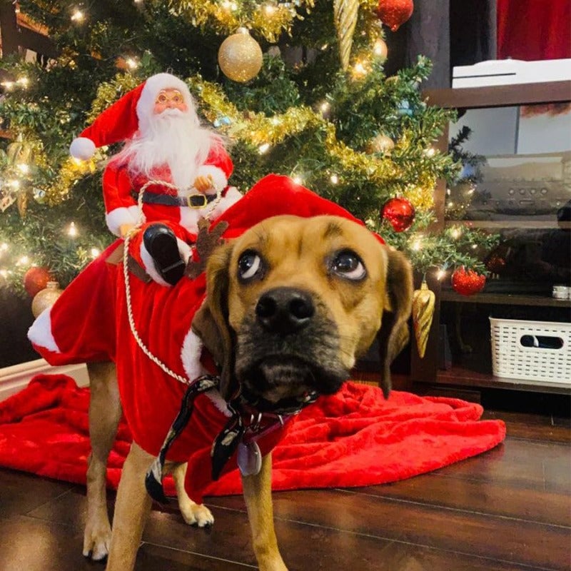 FellFreude – Weihnachtskostüm für Hunde mit Santa-Überraschung