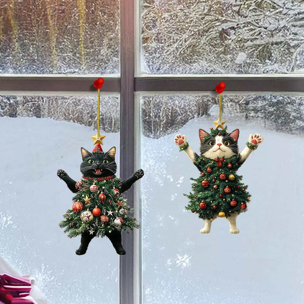 MiauMagic – Die Katze als Weihnachtszauber