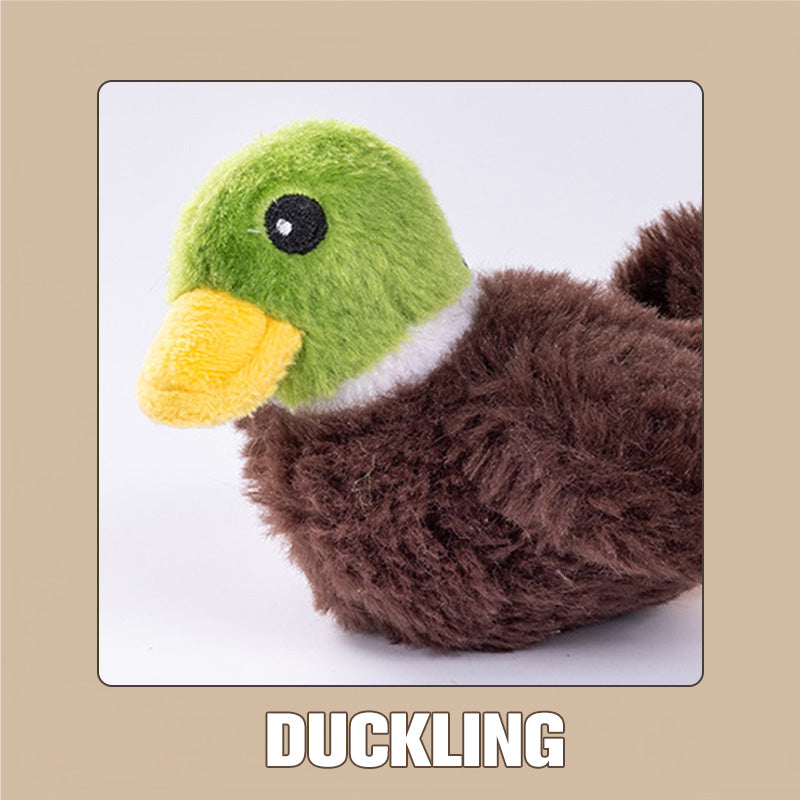 Ramblin’Paws™ — Wecke den wilden Jagdinstinkt und bring deine Katze zum Toben!