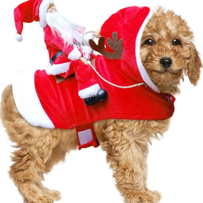 FellFreude – Weihnachtskostüm für Hunde mit Santa-Überraschung
