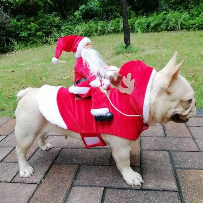 FellFreude – Weihnachtskostüm für Hunde mit Santa-Überraschung