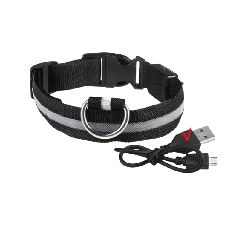 GlowPaw – Leuchtendes LED-Hundehalsband für sichere Abendspaziergänge