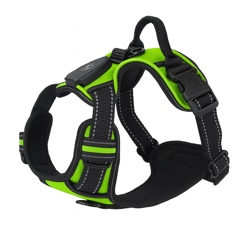 LumiPaws™ – LED-Hundegeschirr für mehr Sichtbarkeit bei Nacht