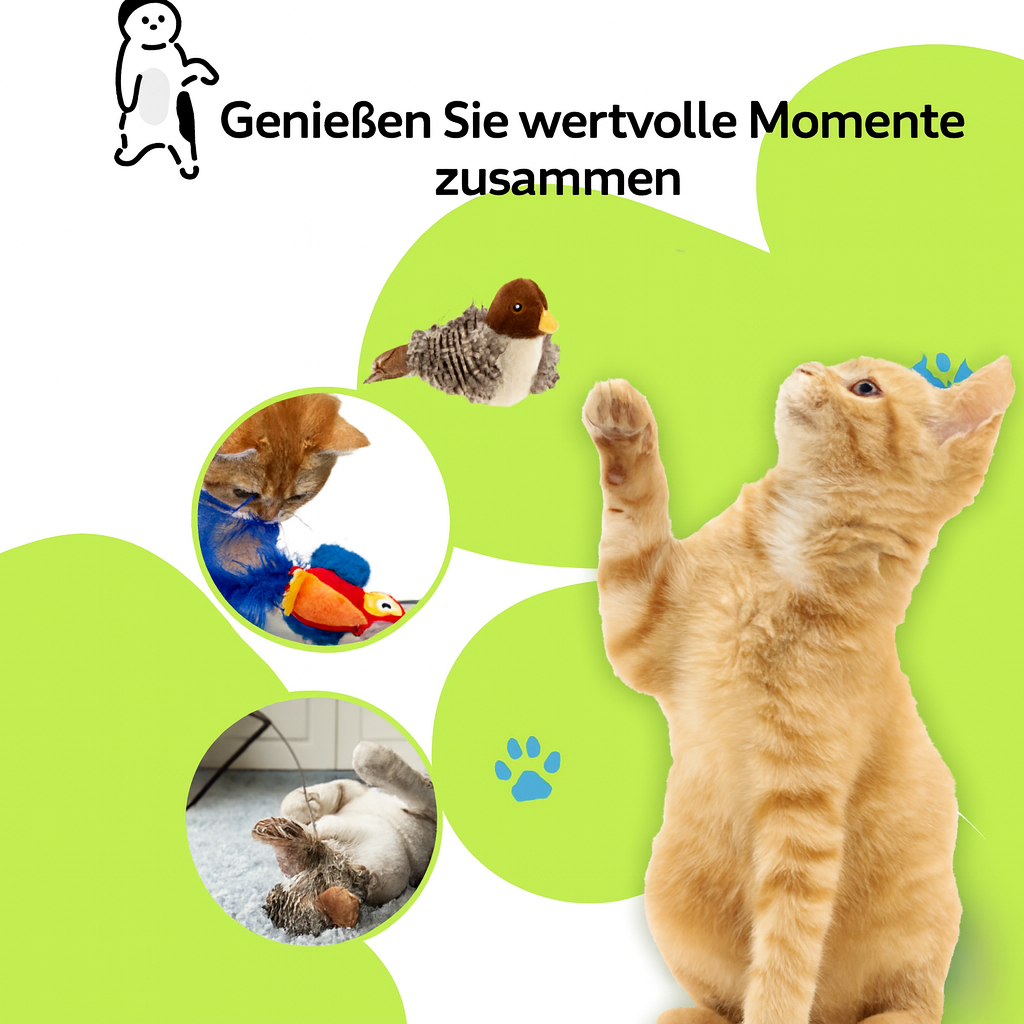 BirdiePlay – Der Jagdspaß für glückliche Stubentiger