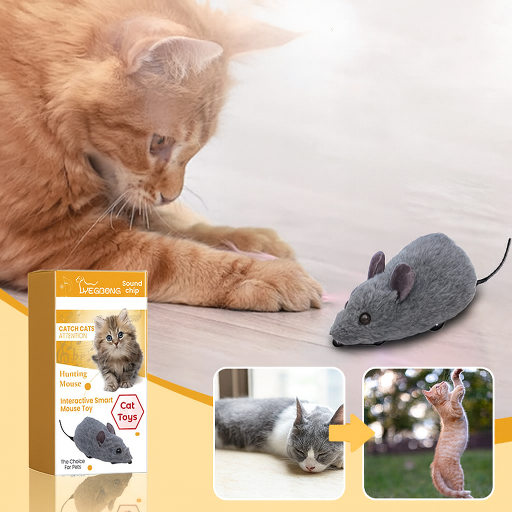 WildPaws – Endloser Spielspaß für Hunde & Katzen