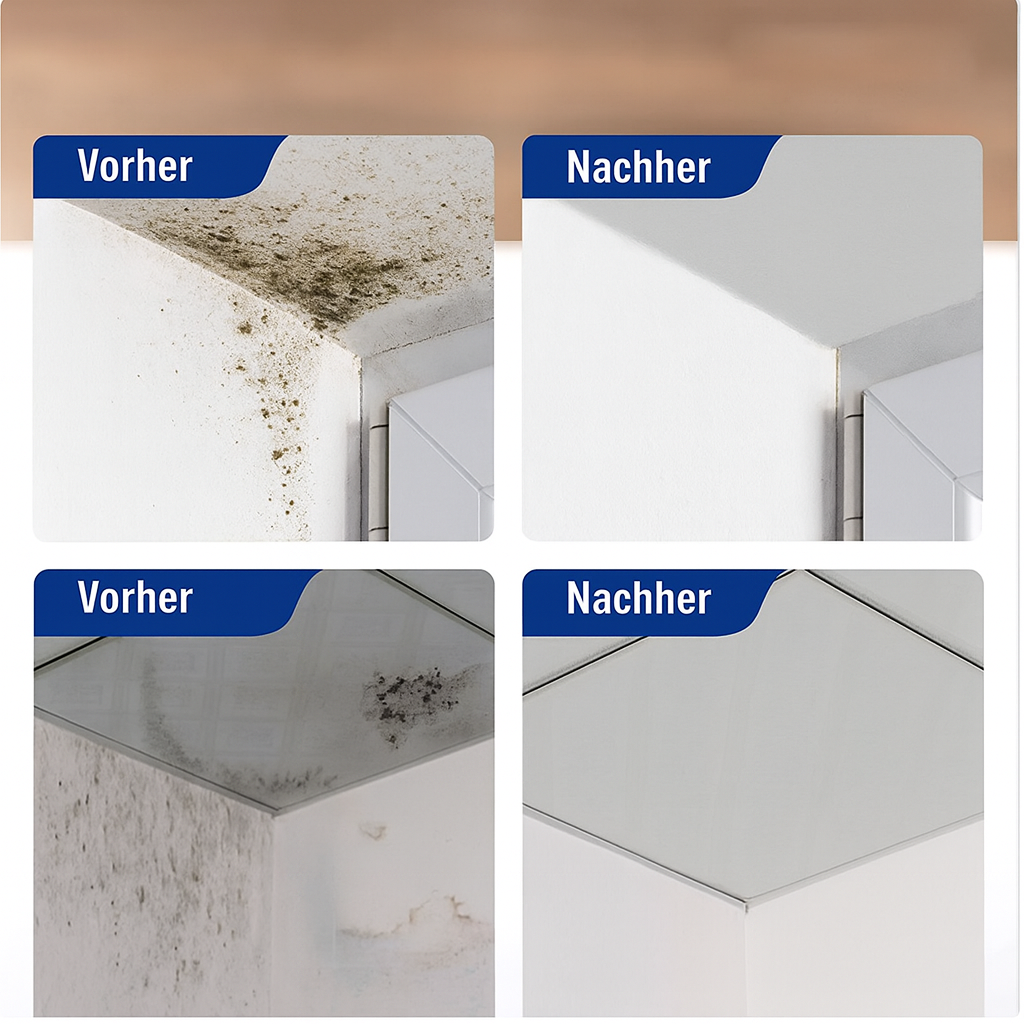 SchimmelStop™ – Endlich frei von gefährlichem Schimmel