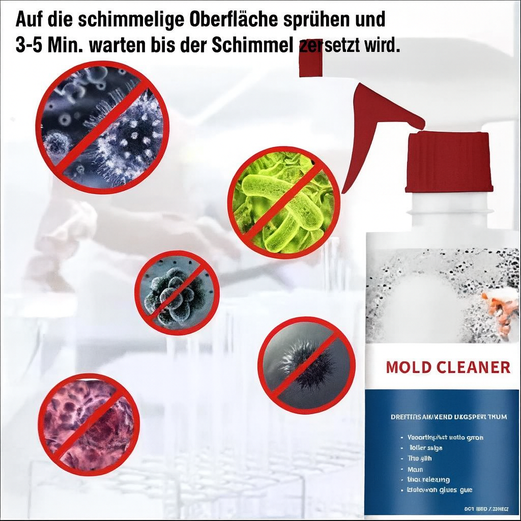 SchimmelStop™ – Endlich frei von gefährlichem Schimmel