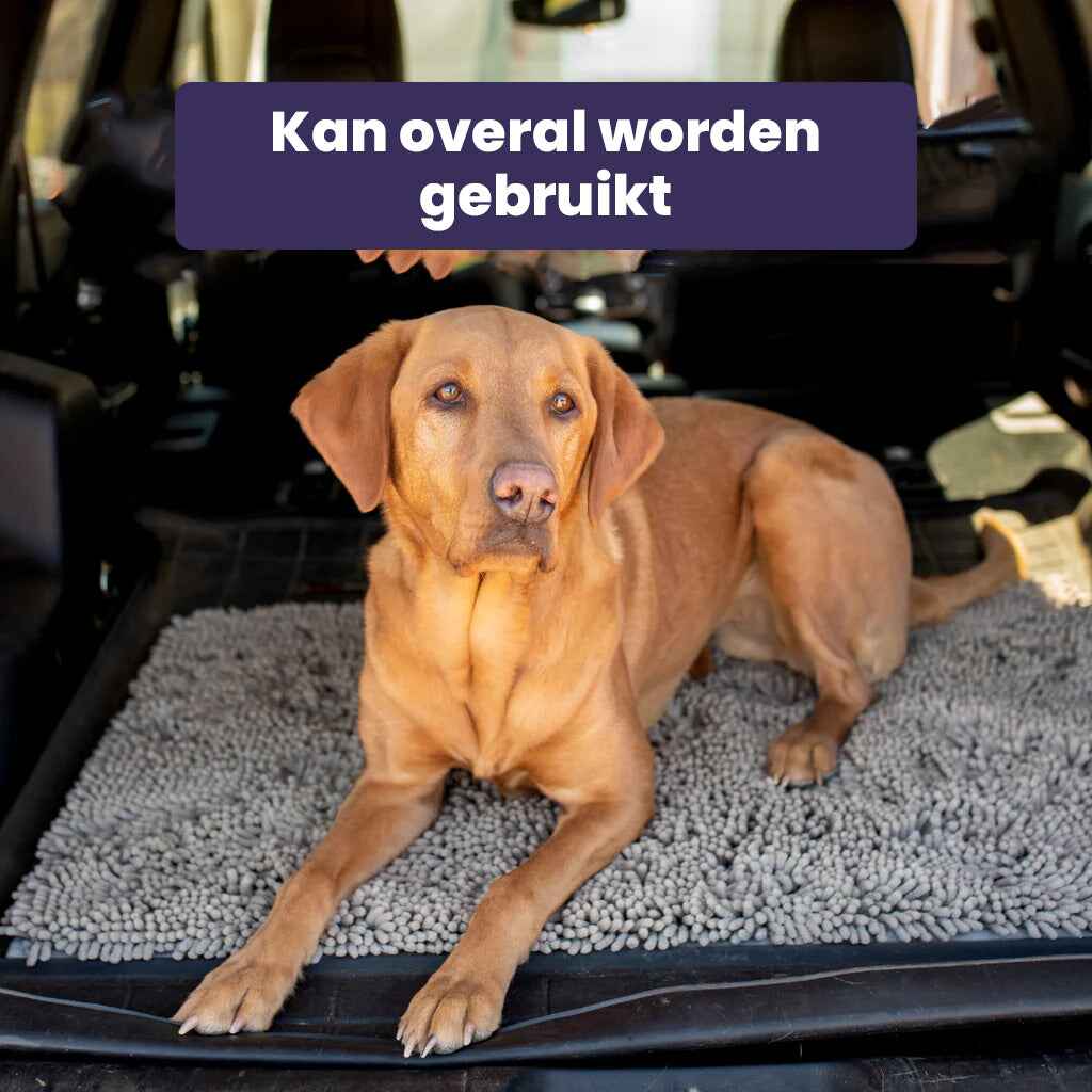 1+1 GRATIS | PawGuard Mat – Schluss mit schmutzigen Hundepfoten im Haus