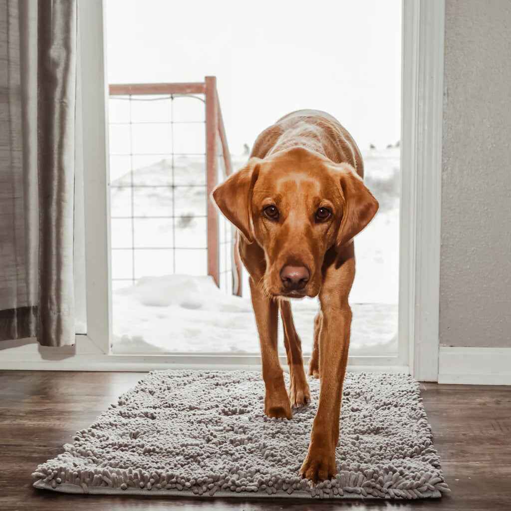 1+1 GRATIS | PawGuard Mat – Schluss mit schmutzigen Hundepfoten im Haus