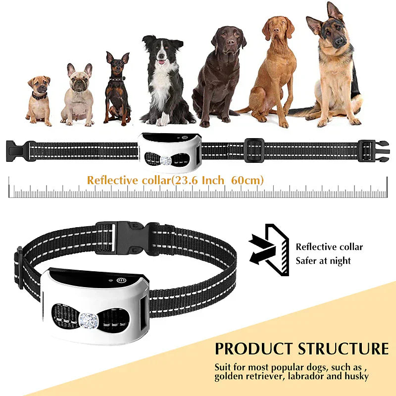 PetSafe Guard – Freiheit & Sicherheit für Ihren Hund