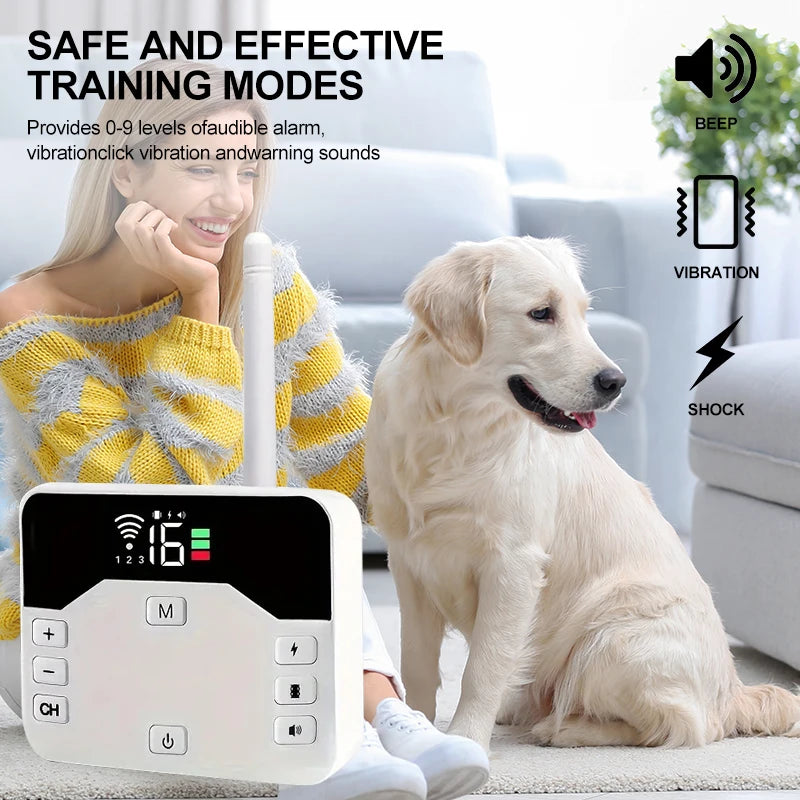 PetSafe Guard – Freiheit & Sicherheit für Ihren Hund