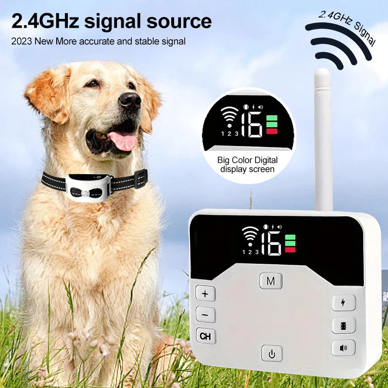 PetSafe Guard – Freiheit & Sicherheit für Ihren Hund