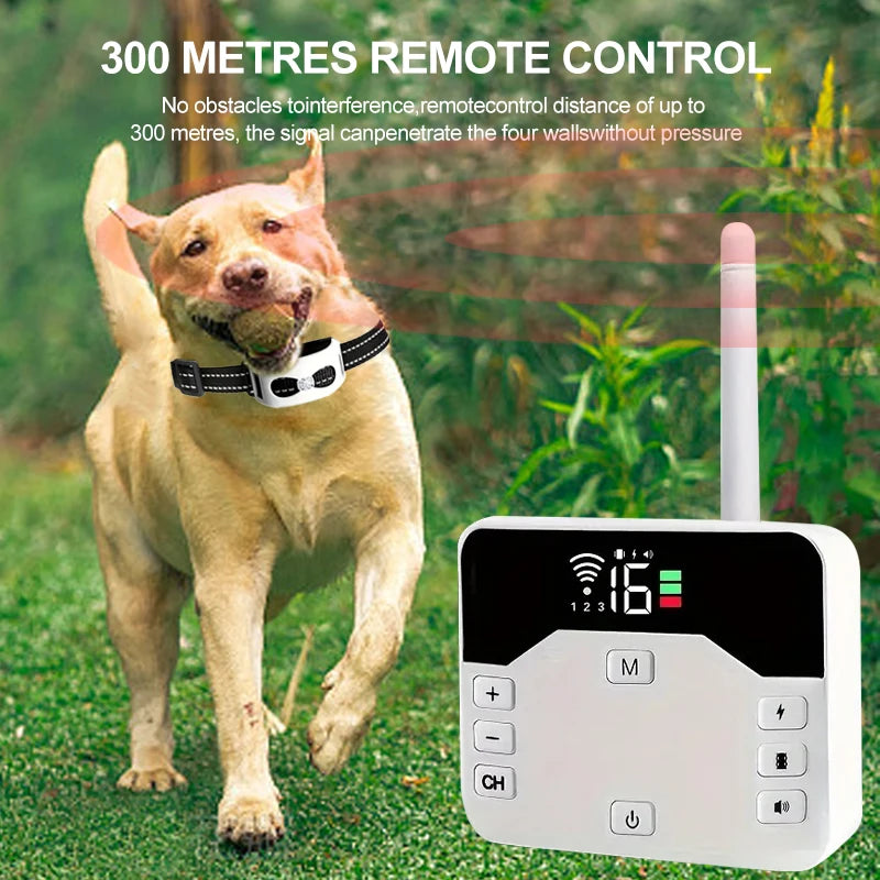 PetSafe Guard – Freiheit & Sicherheit für Ihren Hund