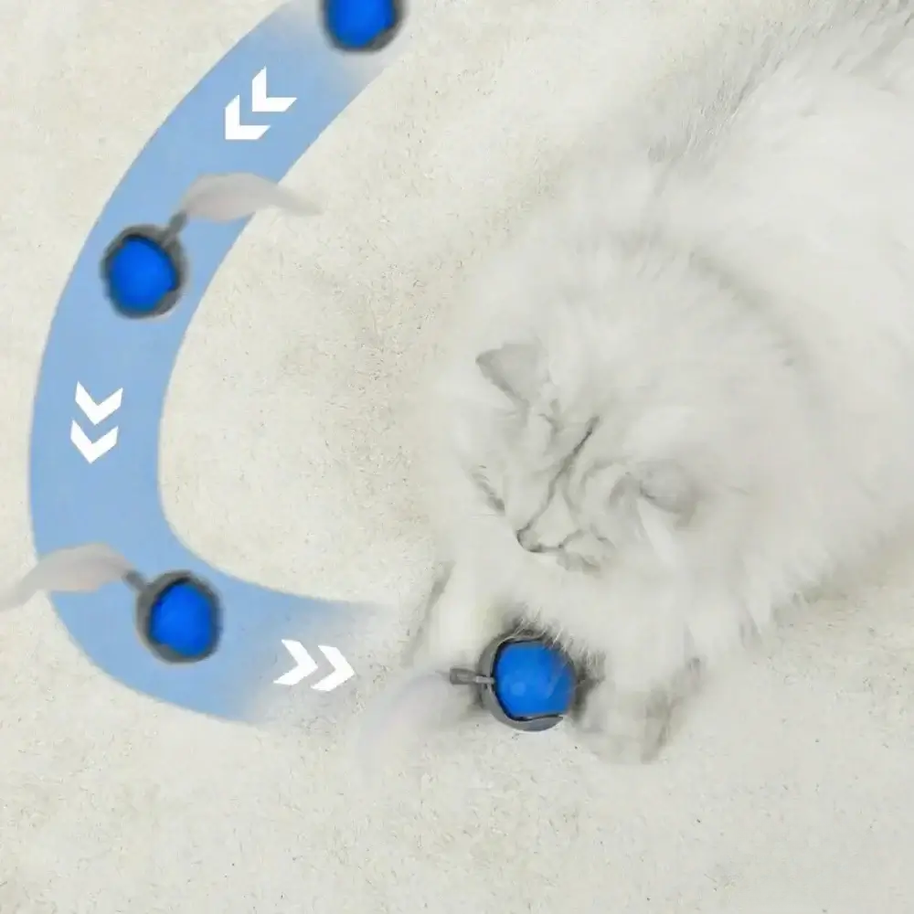 FlitzKatz – Endlich ein Spielzeug, das Katzen wirklich lieben