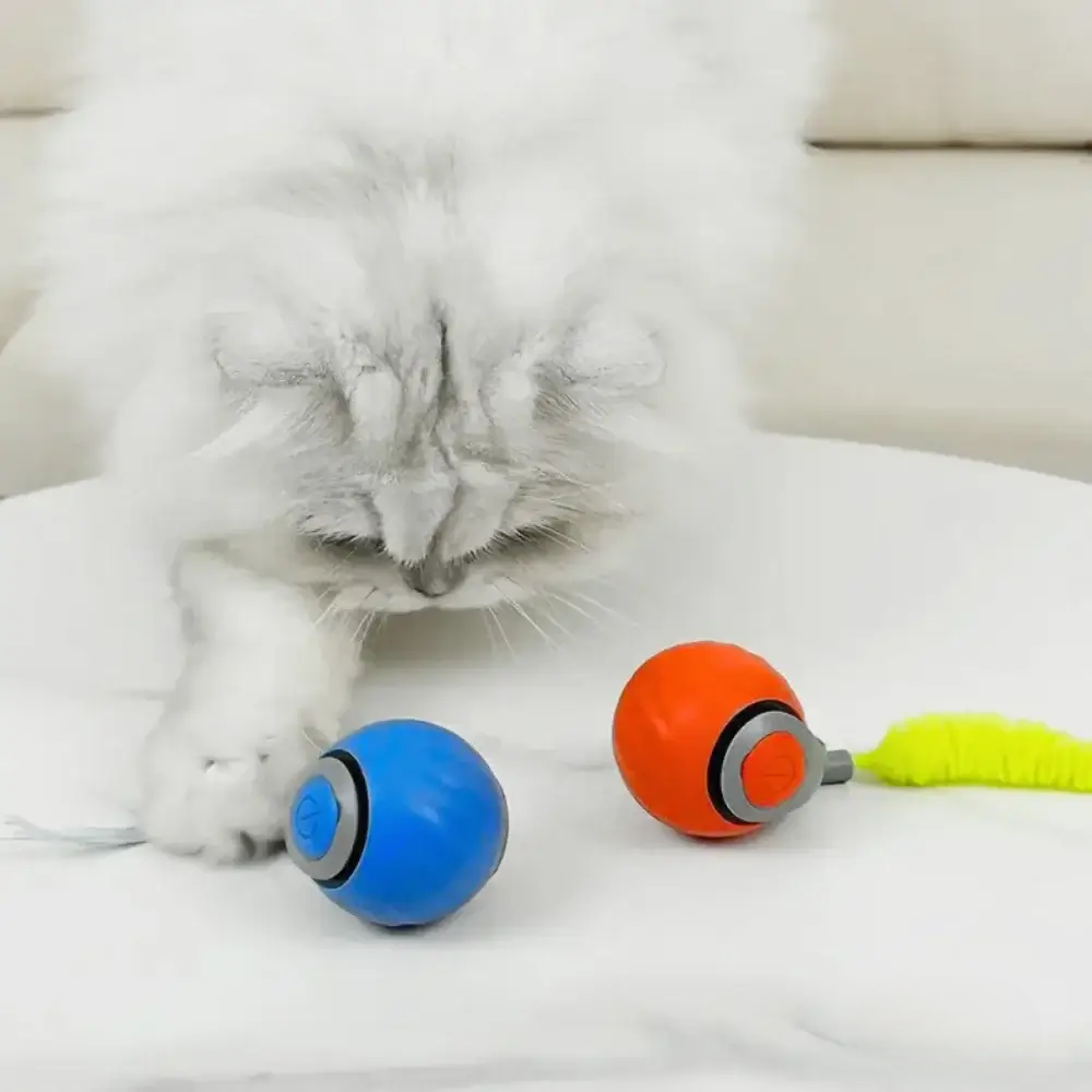 FlitzKatz – Endlich ein Spielzeug, das Katzen wirklich lieben
