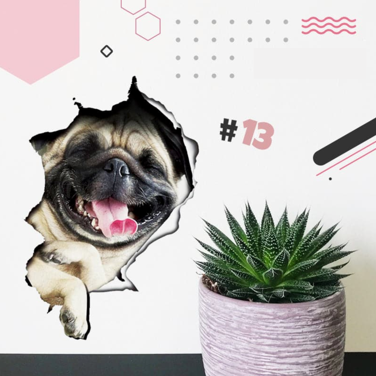 PetWallies™ – Süße 3D-Wandsticker mit Katzen & Hunden
