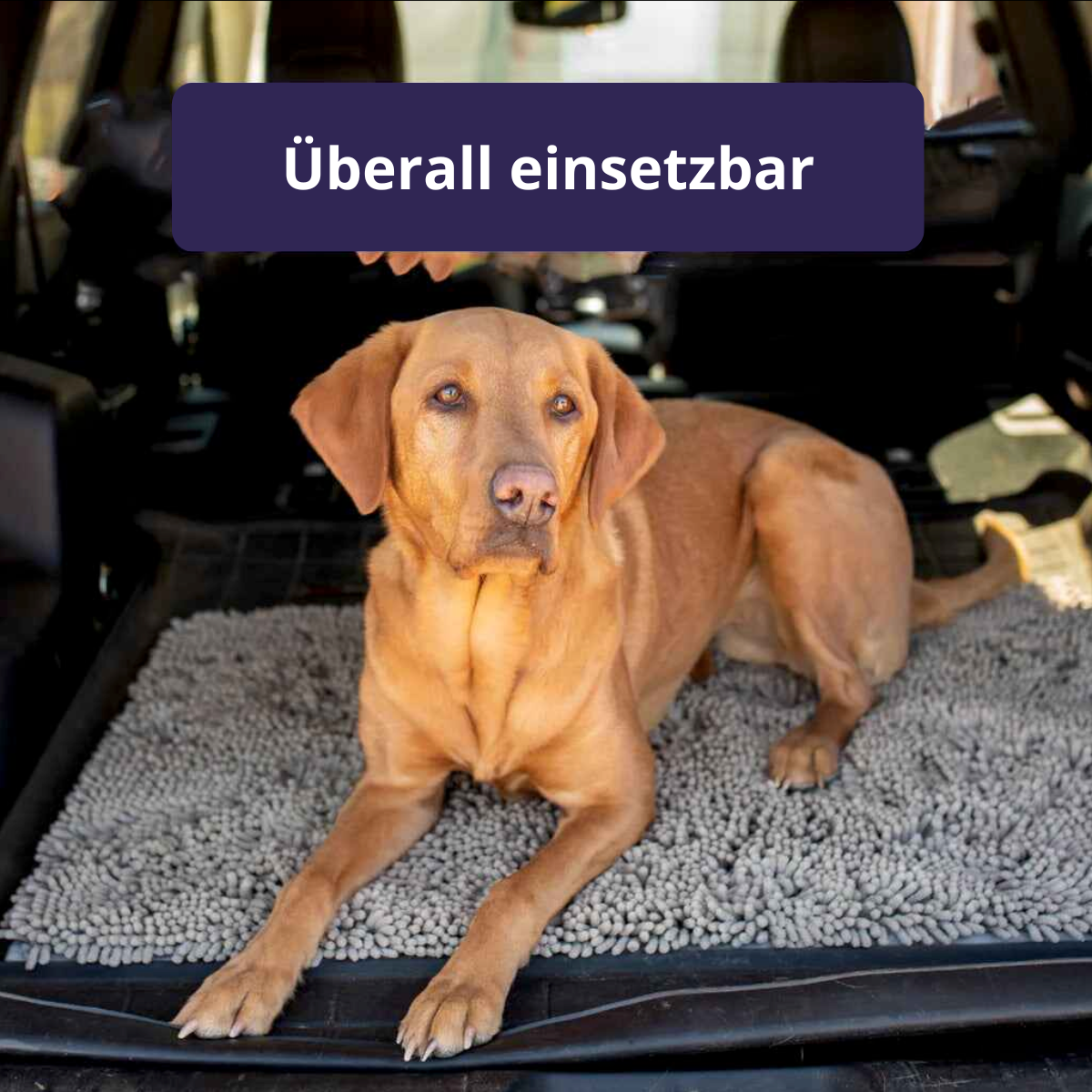 1+1 GRATIS | PawGuard Mat – Schluss mit schmutzigen Hundepfoten im Haus