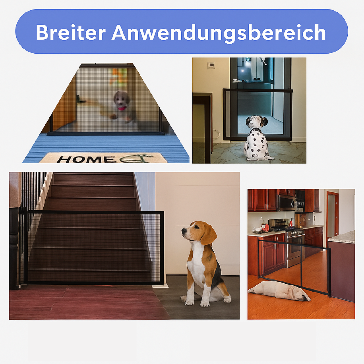 SafePaws – Die faltbare Sicherheitszone für deinen Hund