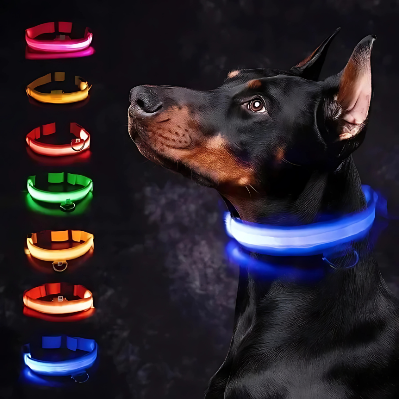GlowPaw – Leuchtendes LED-Hundehalsband für sichere Abendspaziergänge