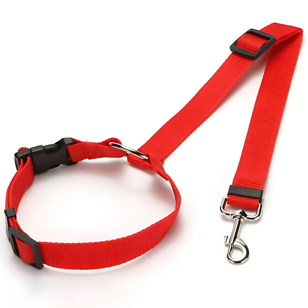 SafeRide™ – Sicheres Reisen für Hunde & Katzen
