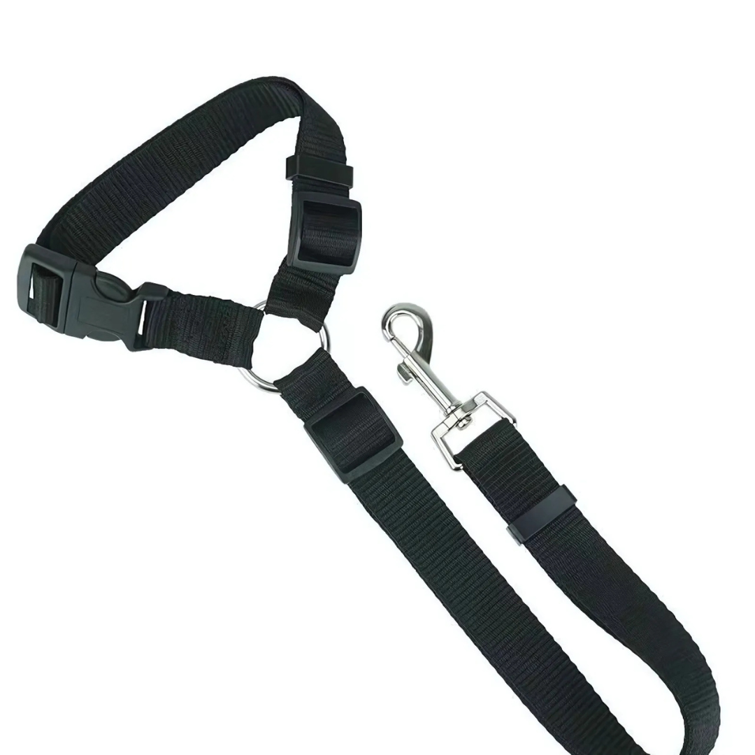 SafeRide™ – Sicheres Reisen für Hunde & Katzen