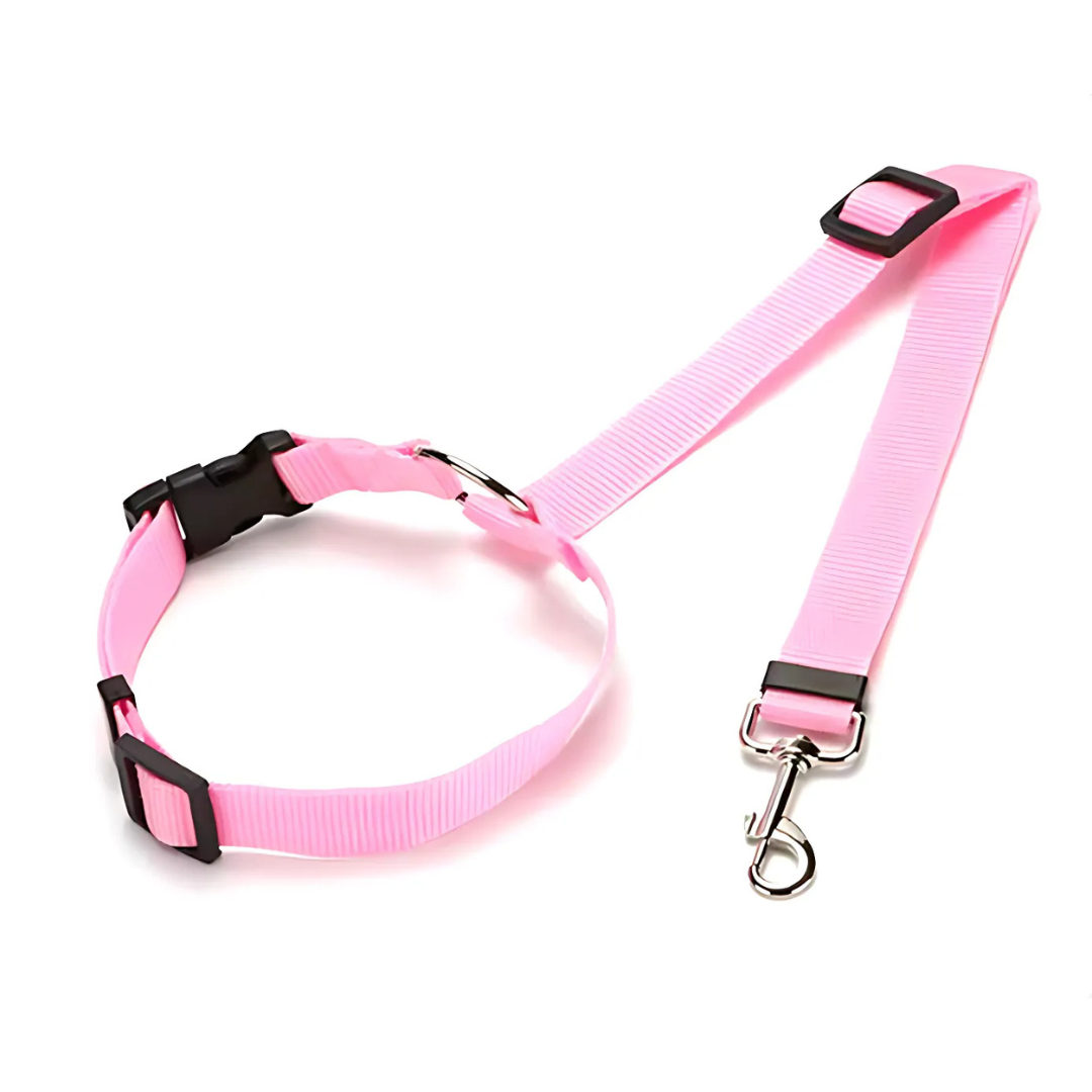 SafeRide™ – Sicheres Reisen für Hunde & Katzen